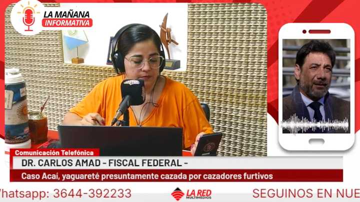 Causa Acaí: “No tenemos un solo elemento que nos haga presumir que la yaguareté está muerta”, afirmó el fiscal Carlos Amad