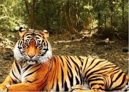 SC panel in Goa for second round of consultations