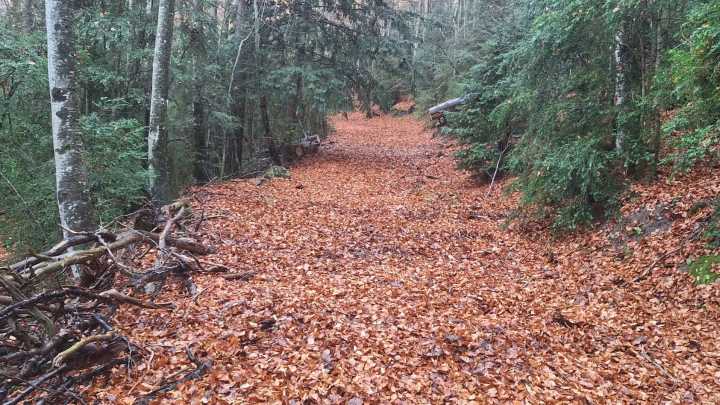 Limpieza y recuperación de senderos de la Comarca de Sobrarbe