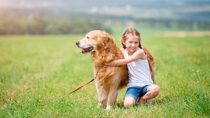 Paws, play, and patience: The best dogs to grow up with your children