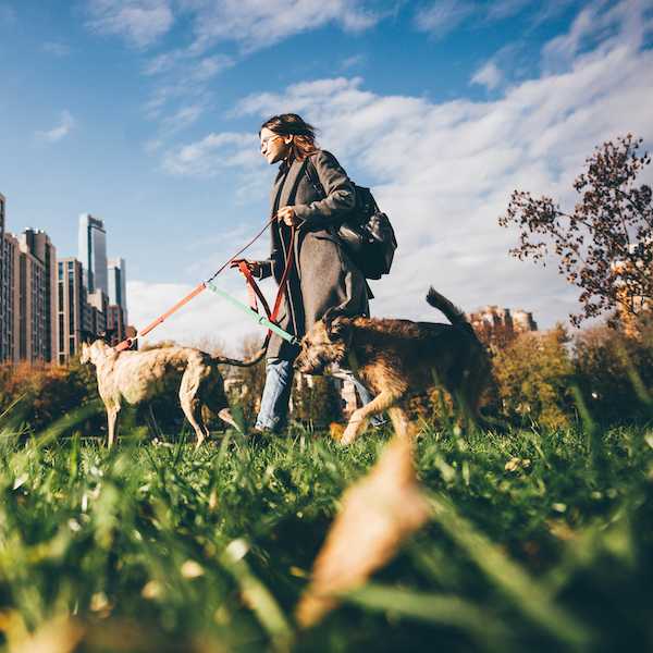 Weekend Picks – November 14th