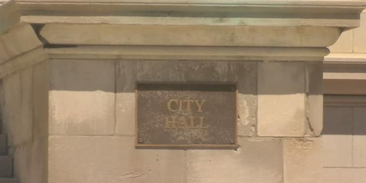 Springfield voters voice their choices for several city council races