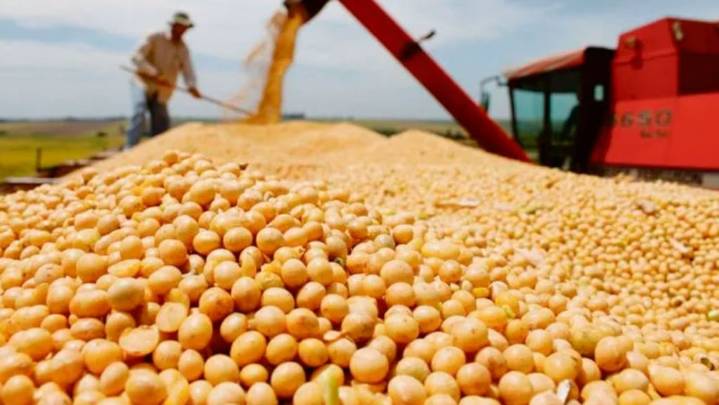 Tras el fin de semana largo, la soja ganó $5000 y cerró a $490 mil por tonelada en Rosario