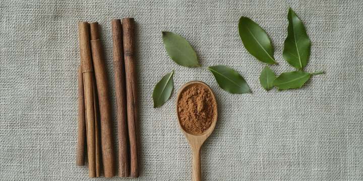 Canela y vinagre blanco: para qué sirve esta mezcla y cómo usarla en casa