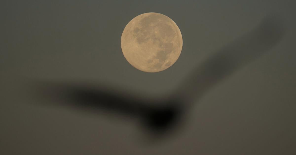 How to spot November's supermoon, the closest of the year