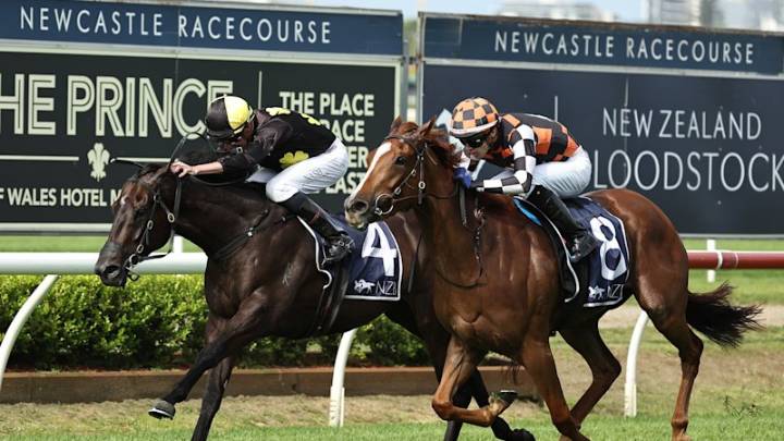 Race-by-race preview and tips for Newcastle on Thursday