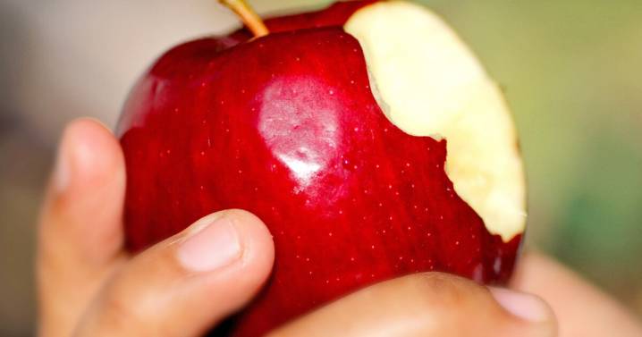 CalOptima issues $8 million in emergency funding for hungry seniors, low