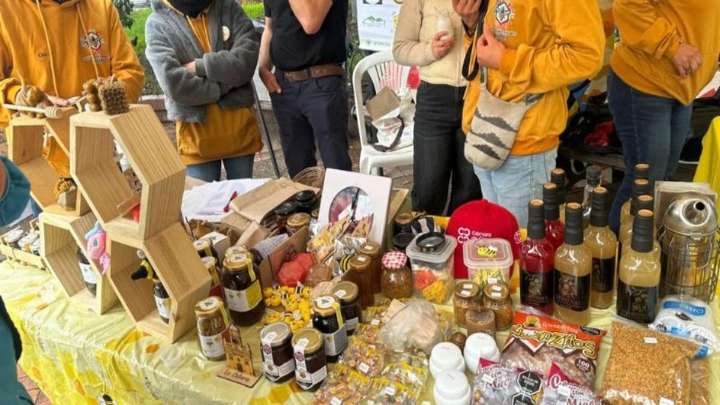 Cundinamarca se viste de verde: Gobernación impulsa conservación y emprendimiento a través de la Vitrina de Negocios Verdes