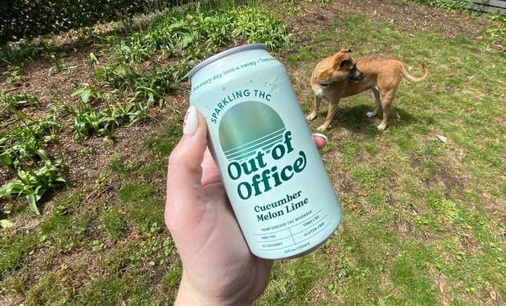 List of THC Products That Might Be Banned in 2026: Gummies, Drinks, and Vapes to Watch