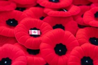 Everything you should know about the Remembrance Day poppy