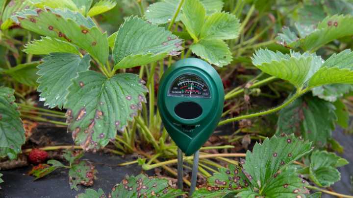 Are Wi-Fi-Enabled Soil Moisture Meters Accurate? Here's What We Know