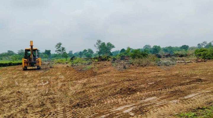 AASAA opposes OIL's move to clear tea bushes in Naharkatiya, warns of agitation