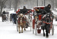 Nueva York tumba un proyecto de ley para vetar los carruajes con caballos