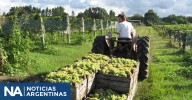 Luis Caputo habilita a empresas a solicitar online la apertura de mercados a productos agroindustriales