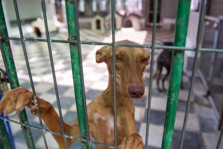 Arca de Noé impulsa un taller de acompañamiento en el duelo