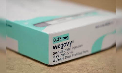 Novo Nordisk cuts Wegovy price by up to 33% in India, document shows: Report