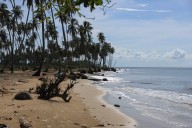 Suspect Held in Killing of American in Tobago