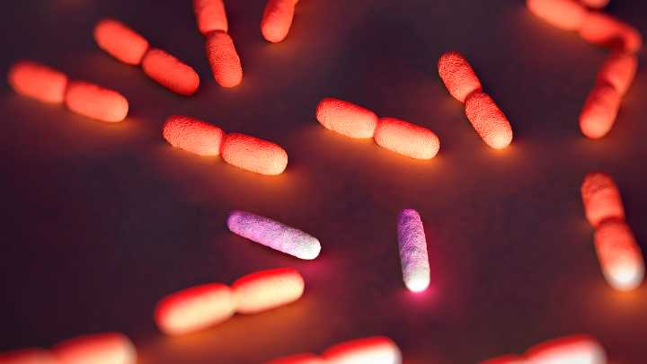 Scientists Are Hacking Bacteria to Fight Cancer, Then Self