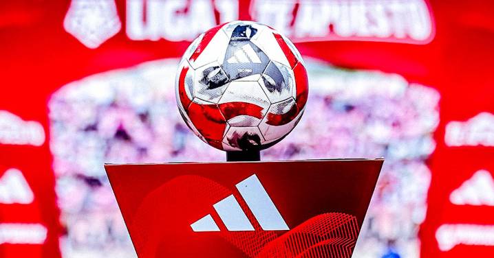 Tabla acumulada 2025: Ayacucho FC descendió, mientras que Alianza y Cristal chocarán en los play off