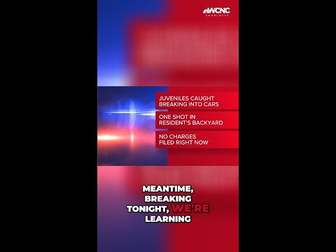 Juvenile shot while trying to break into cars in Lincolnton dies days later, police say