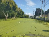 Informan que esta comunidad en Bolívar continúa inundada, a pesar de la instalación de bombas de desagüe