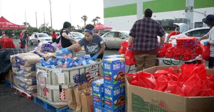 Feeding Tampa Bay distributes Thanksgiving meals as shutdown impacts linger