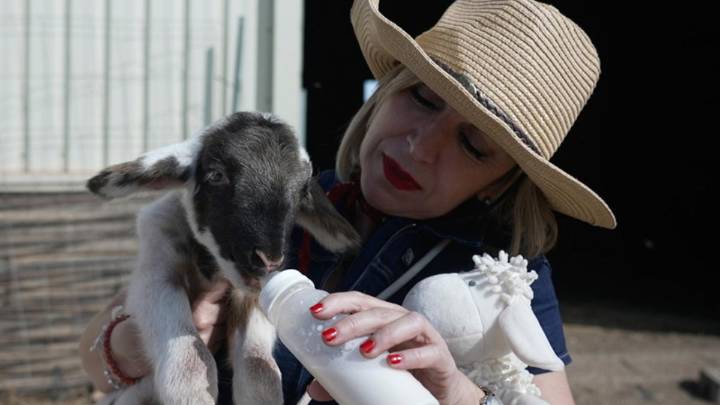 Bonica del Tó: programa 1 con Rogelia, Pelusa, Milagrosa y Campeón