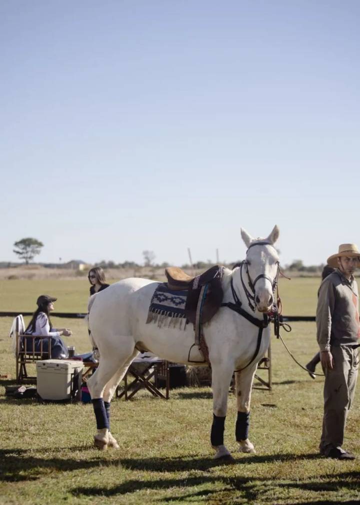 Última fecha del campeonato misionero de salto & Entre Copas y Caballos