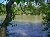 Cobb County Dumped 21 Million Gallons Of Tainted Water Into The Chattahoochee River