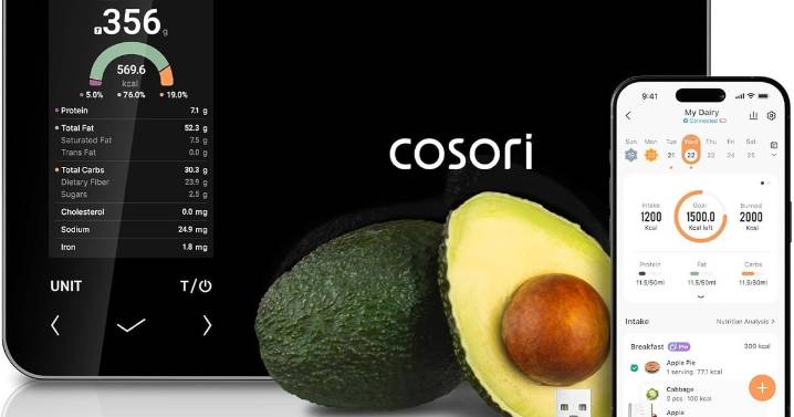 Review: COSORI Smart Kitchen Scale helps you get fit