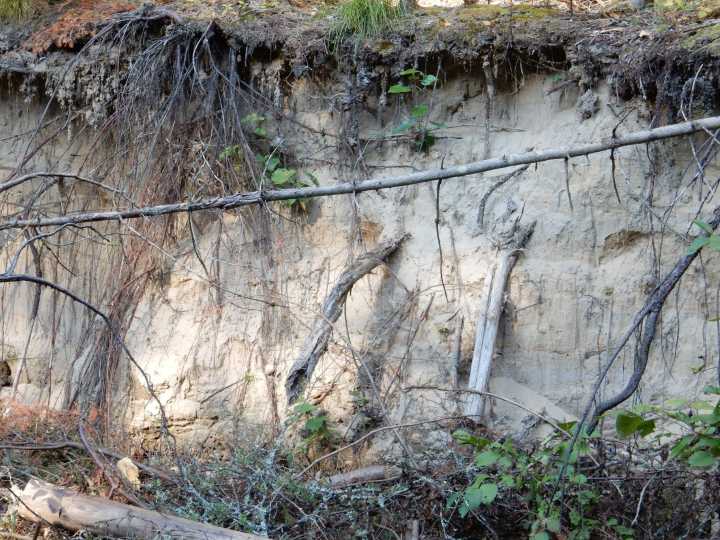 Stewardship council provides update on Depot Creek Restoration Project