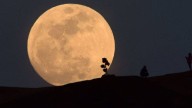 A qué hora y cómo ver la "superluna" más grande y brillante del año este miércoles