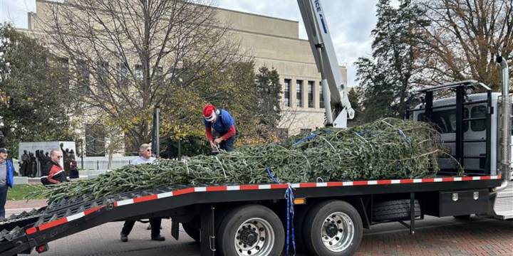 VA Capitol Christmas Tree preparing to glow