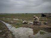 899 farmers committed suicide in 10 months in Maharashtra:Crop damage due to flood, rain; 537 people lost their lives between May and October