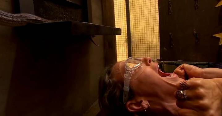 I'm a Celebrity to introduce brand new bushtucker trial