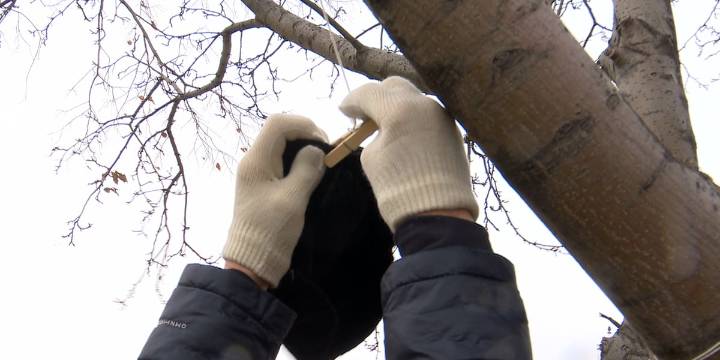 Bundle Up SF transforms trees into winter kindness for those in need