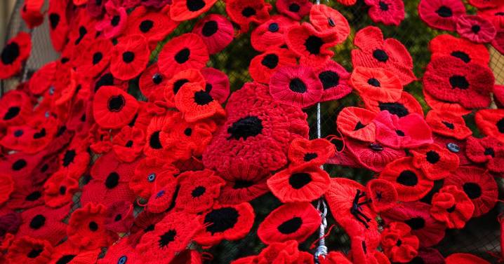 Remembrance row as woman 'faces disciplinary action' for not wearing poppy at work