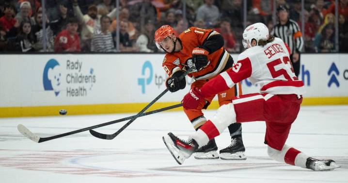 Troy Terry scores twice in Ducks' victory over Detroit Red Wings