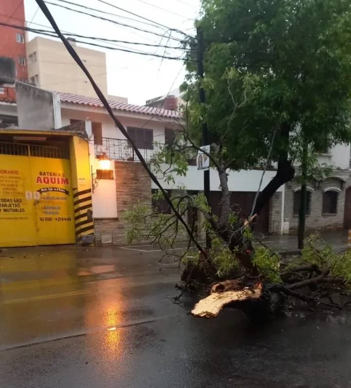 La lluvia del fin de semana dejó cerca de 50 incidentes