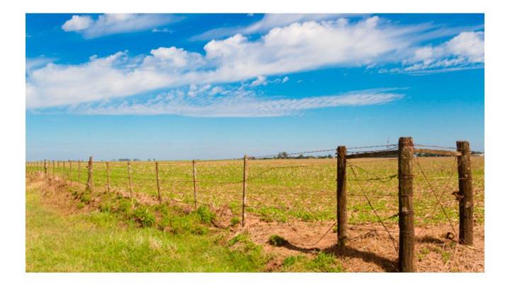 Proyecto de ley tributaria en Santa Fe: novedades para el agro en 2026