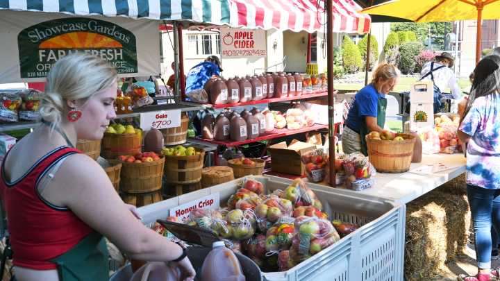 Expect clouds and a breeze Wednesday in Branch County