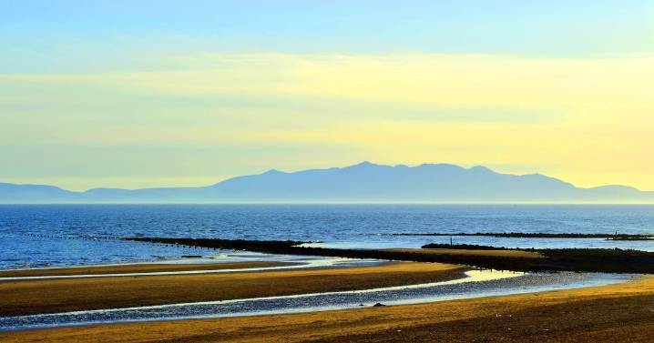 Popular Scottish beaches 'polluted with human and animal faeces'