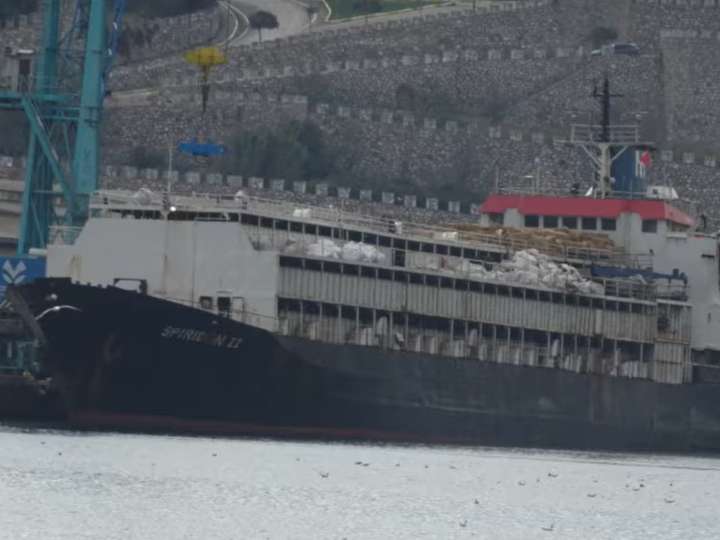 Odisea de un buque con 2.901 vacas uruguayas en Turquía: no lo dejan desembarcar y los animales llevan casi dos meses en el mar