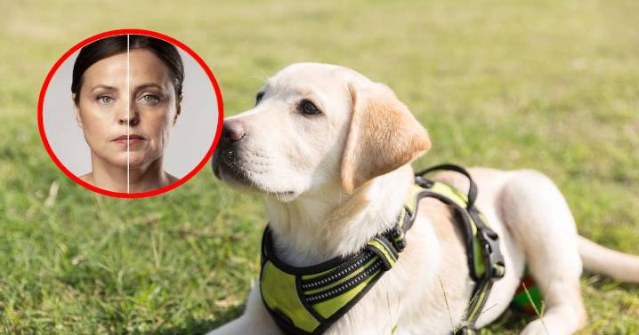 Convivir con perros podría ayudar a frenar el envejecimiento y aliviar el estrés, según un estudio