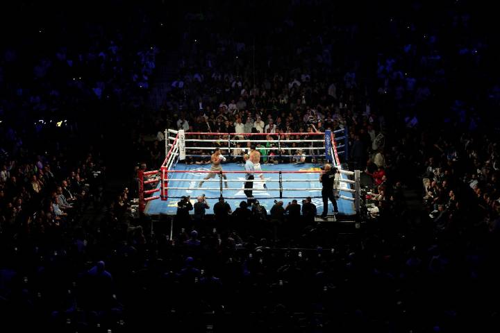 Boxeo hoy en vivo: las peleas que puedes ver este sábado 15 de noviembre de 2025