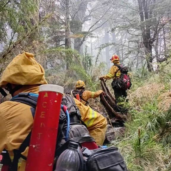 Diputados aplazan el tratamiento de la Ley de Manejo del Fuego para incorporar aportes