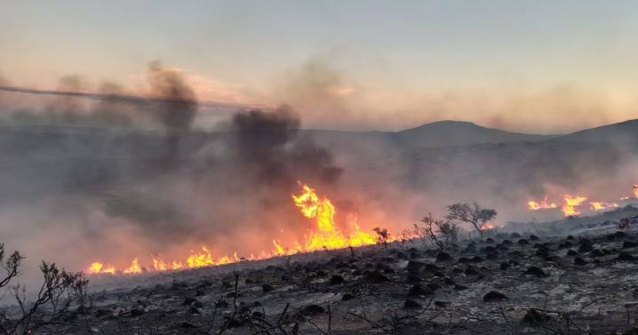 Incendio forestal en un paraje del norte de Neuquén: intenso operativo para controlar el avance del fuego