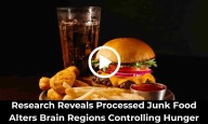 Research Reveals Processed Junk Food Alters Brain Regions Controlling Hunger