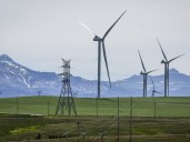 Municipalities collected $70 million from renewable projects this year