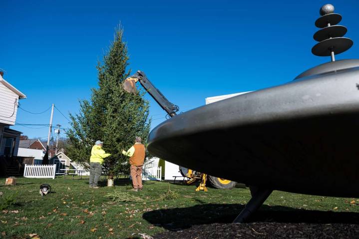 Christmas tree arrives in Mars to usher in holiday season